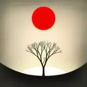 修剪艺术