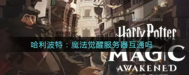 哈利波特：魔法觉醒服务器互通吗