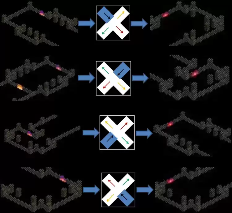 《暗黑破坏神2重制版》第一章地图过法全解析