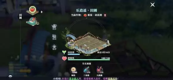 《梦幻新诛仙》仙府五行攻略