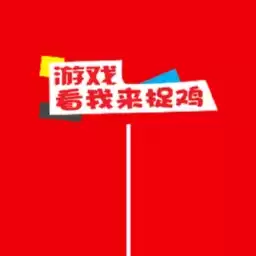 看我来捉鸡