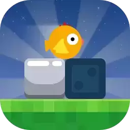 小鸟不会飞小