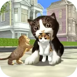 猫狗拆家派对手机