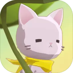 Dear my cat(亲爱的我的猫咪)