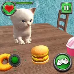 疯狂的凯蒂猫