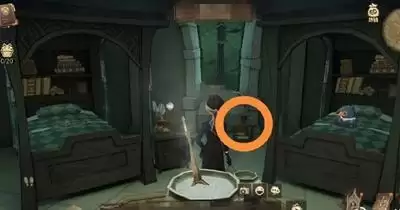 《哈利波特魔法觉醒》冬青木生长周玩法介绍