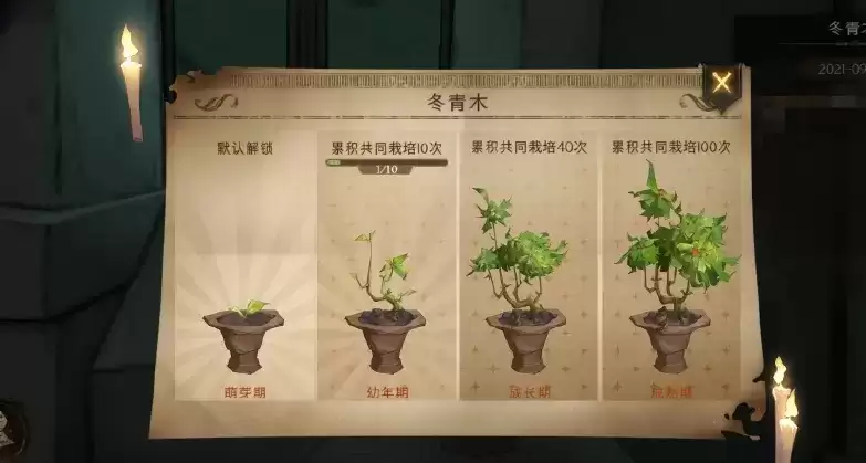 《哈利波特魔法觉醒》冬青木成长周玩法攻略