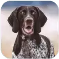 狂犬模拟器