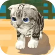 猫咪度假村