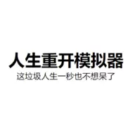 人生重开模拟器