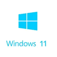 Win11正式