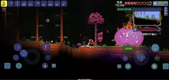 《泰拉瑞亚》史莱姆王掉落物品有哪些