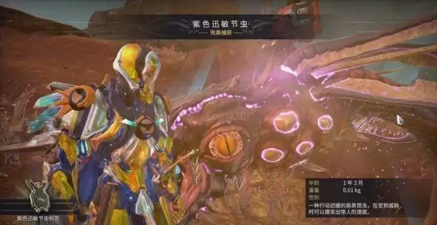 星际战甲紫色迅敏虫 在哪里刷_5 星际战甲紫色迅敏虫 在哪里刷