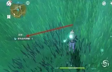 苍风高地锚点旁边的风神瞳怎么拿