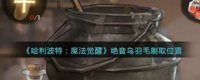 《哈利波特:魔法觉醒》绝音鸟羽毛刷取位置