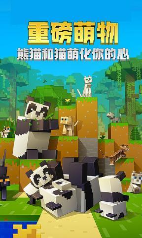 编辑：我的世界1