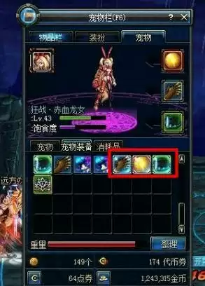 dnf宠物装备可以在拍卖上买吗