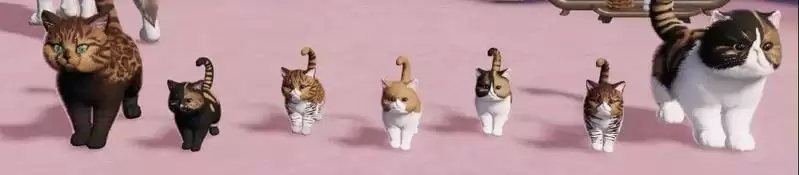 天涯明月刀手游猫咪颜色说明