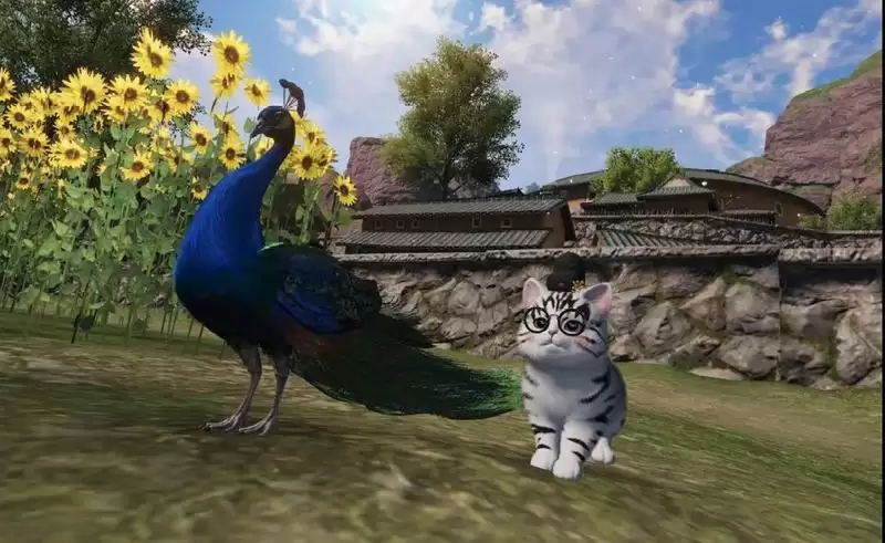 天涯明月刀手游猫咪行侠怎么玩