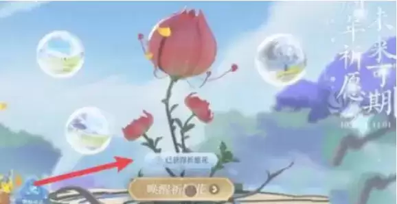 《王者荣耀》祈愿花怎么使用