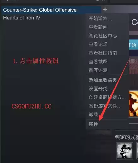 csgo国服启动项在哪设置？csgo国际服与国服启动项自由切换
