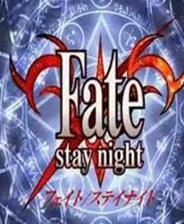 Fate stay night