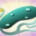 闲置瘟疫