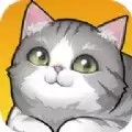 养了个猫