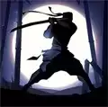暗影格斗2中文