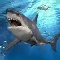 大白鲨真实模拟