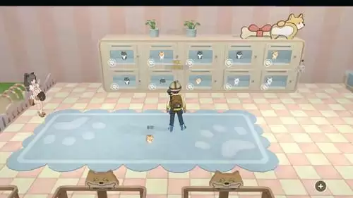 《小森生活》怎么领养多只狗狗