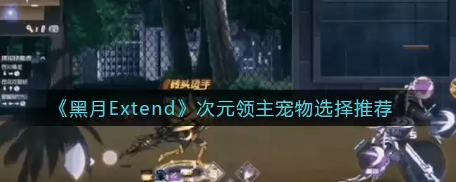 《黑月Extend》次元领主宠物选择推荐