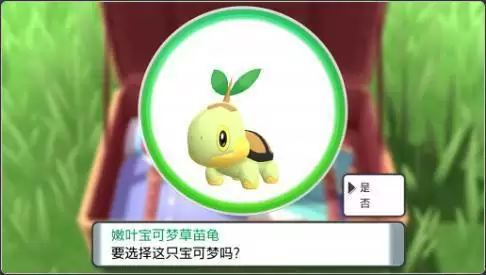 《宝可梦晶灿钻石明亮珍珠》御三家选哪个最好