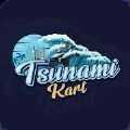 海啸卡丁车（Tsunami kart）