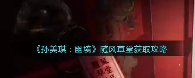 《孙美琪疑案：幽境》二级线索攻略——随风草堂