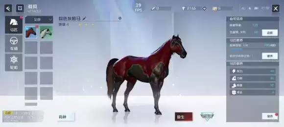 诺亚之心育马系统玩法介绍