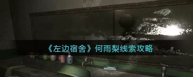 《孙美琪疑案:左边宿舍》四级线索——何雨梨