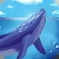 海洋动物世界