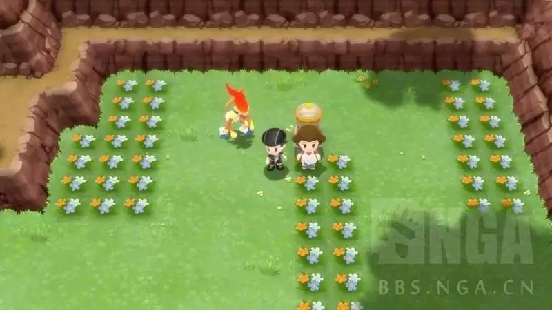 《宝可梦晶灿钻石明亮珍珠》顶级宝芬制作及全满华丽度完美方案攻略