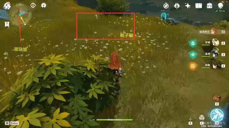 原神动物位置大全汇总分享