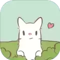 猫与汤