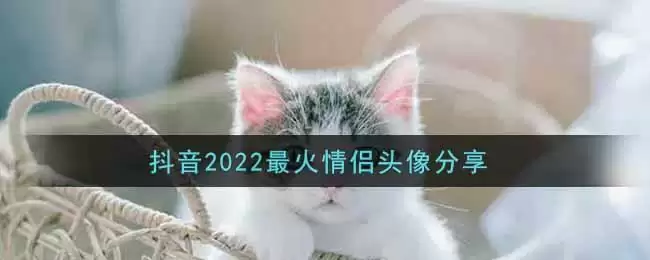 抖音2022最火情侣头像分享