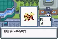 口袋妖怪白金光攻略图