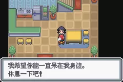 口袋妖怪白金光攻略图