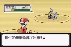 口袋妖怪白金光攻略图