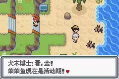 口袋妖怪白金光攻略图