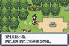 口袋妖怪白金光攻略图