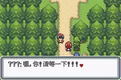 口袋妖怪白金光攻略图