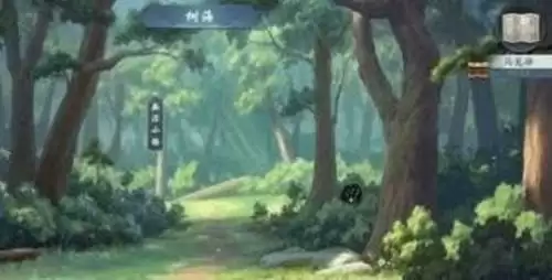 《武林闲侠》花火商店购买推荐