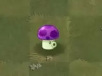 植物大战僵尸2孢子菇升阶攻略